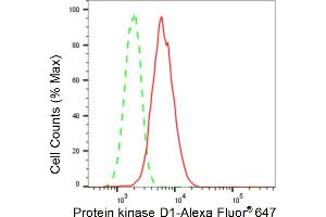 anti-Protein Kinase D1 (PRKD1) antibody
