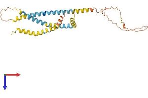 SPATA9 Protein (AA 1-254) (His tag)