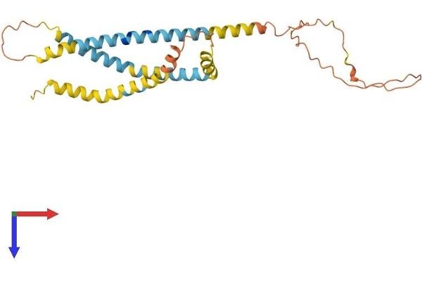 SPATA9 Protein (AA 1-254) (His tag)