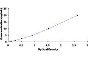 Typical standard curve (GLYT1 ELISA Kit)