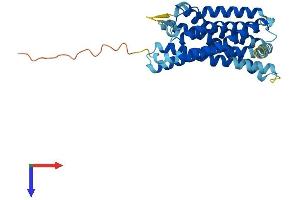 Oxoglutarate (Alpha-Ketoglutarate) Receptor 1 (OXGR1) (AA 1-337) protein (His tag)