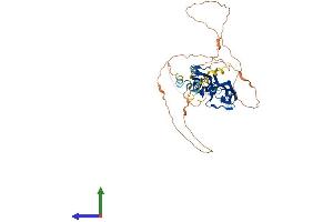 Protein Structure (PS) image for Myotilin (MYOT) (AA 1-496) protein (His tag) (ABIN7561544)