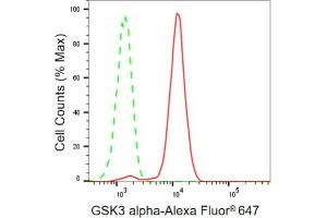 Flow cytometric analysis of GSK3 alpha expression in HepG2 cells using GSK3 alpha antibody (ABIN7798777), 1:2,000). (Rekombinanter GSK3 alpha Antikörper)