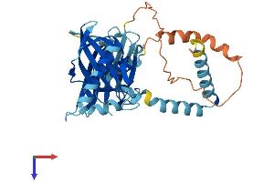 PIH1D2 Protein (AA 1-315) (His tag)