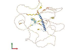 AlphaFold protein structure predicition of Human Recombinant CRTC3 Protein, UniprotID Q6UUV7 (CRTC3 Protein (AA 1-619) (His tag))