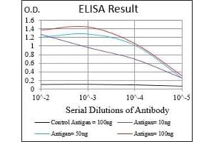 Black line: Control Antigen (100 ng), Purple line: Antigen(10 ng), Blue line: Antigen (50 ng), Red line: Antigen (100 ng),