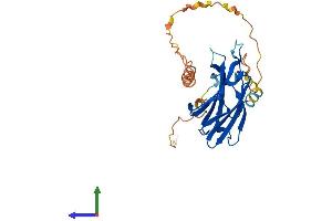 Protein Structure (PS) image for Regulating Synaptic Membrane Exocytosis 4 (RIMS4) (AA 1-269) protein (His tag) (ABIN7556556)