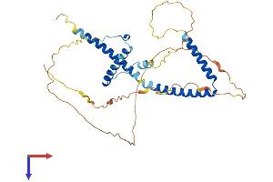 HEXIM1 Protein (AA 1-359) (His tag)