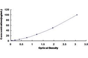 HSPA1B ELISA Kit