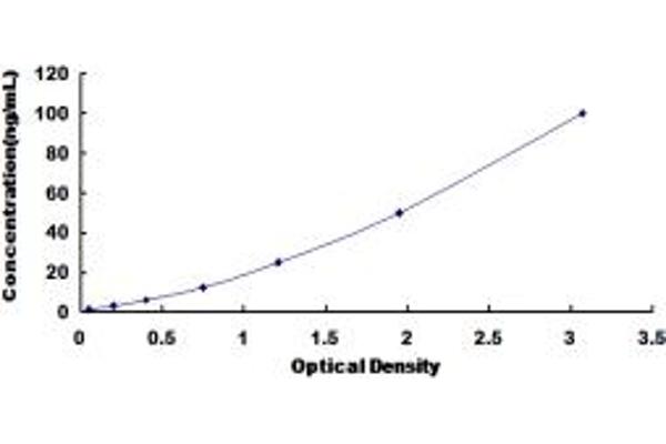 HSPA1B ELISA Kit