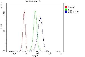 Flow Cytometry analysis of SiHa cells using anti-ALDH2 antibody (ABIN7603122). (ALDH2 Antikörper  (N-Term))