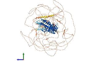 AlphaFold protein structure predicition of Mouse Recombinant Arhgef5 Protein, UniprotID E9Q7D5