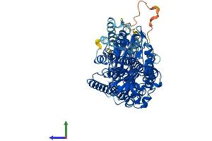 Protein Structure (PS) image for Arachidonate 12-Lipoxygenase, 12R Type (ALOX12B) (AA 1-701) protein (His tag) (ABIN7562579)