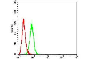 Flow Cytometry (FACS) image for anti-Pyrimidinergic Receptor P2Y, G-Protein Coupled, 4 (P2RY4) antibody (ABIN5611351)