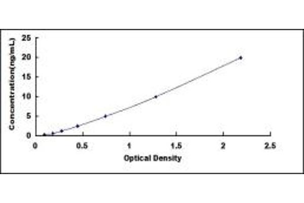 MCL-1 ELISA Kit