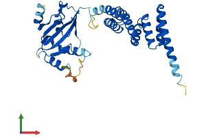 Protein Structure (PS) image for Aryl Hydrocarbon Receptor Interacting Protein (AIP) (AA 1-330) protein (His tag) (ABIN7562226)