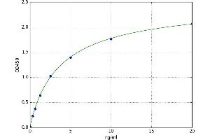 Mitogen-Activated Protein Kinase Kinase 5 (MAP2K5) ELISA Kit