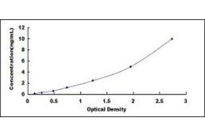 Typical standard curve (SLC5A5 ELISA Kit)