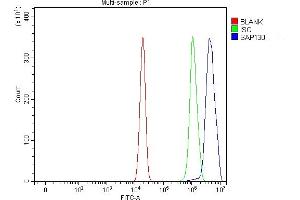 Flow Cytometry analysis of U20S cells using anti-SAP130 antibody (ABIN7601247). (SAP130 Antikörper  (AA 309-913))