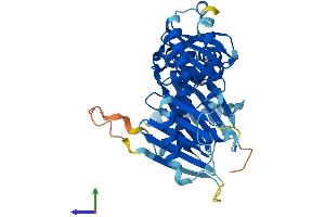 Protein Structure (PS) image for Fuzzy Homolog (FUZ) (AA 1-418) protein (His tag) (ABIN7547852)