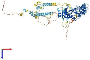RIOK3 Protein (AA 1-519) (His tag)