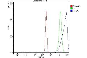 Flow Cytometry analysis of K562 cells using anti-KIF2A antibody (ABIN7600510). (KIF2A Antikörper  (AA 2-706))