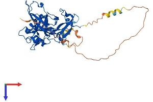 C3orf37 Protein (AA 1-354) (His tag)