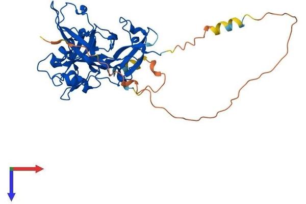 C3orf37 Protein (AA 1-354) (His tag)