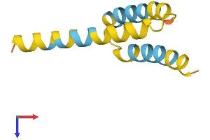 AlphaFold protein structure predicition of Human Recombinant SMIM10L2A Protein, UniprotID P0DMW4