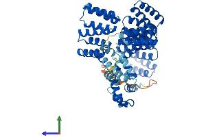 AlphaFold protein structure predicition of Mouse Recombinant Stip1 Protein, UniprotID Q60864