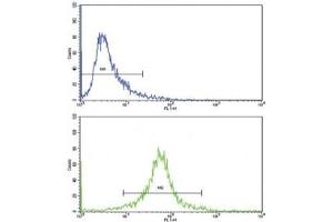 Flow Cytometry (FACS) image for anti-Cyclin-Dependent Kinase 1 (CDK1) (AA 1-29) antibody (ABIN3028598)