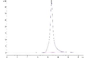 Size-exclusion chromatography-High Pressure Liquid Chromatography (SEC-HPLC) image for Membrane Metallo-Endopeptidase (MME) (AA 52-750) protein (His tag) (ABIN7275264)