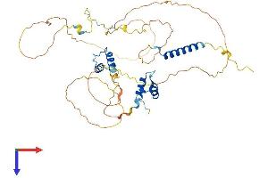 Thymopoietin Protein (TMPO) (AA 1-454) (His tag)