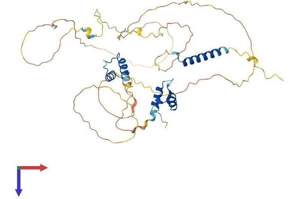 Thymopoietin Protein (TMPO) (AA 1-454) (His tag)