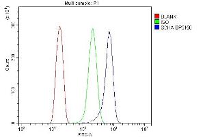 Flow Cytometry analysis of Hela cells using anti-SDHA antibody (ABIN7602753).