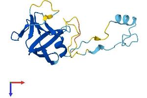 AlphaFold protein structure predicition of Human Recombinant ERVK-8 Protein, UniprotID P63122