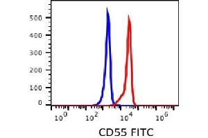 Flow Cytometry (FACS) image for anti-Complement Decay-Accelerating Factor (CD55) antibody (FITC) (ABIN3071833) (CD55 Antikörper  (FITC))