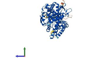 Protein Structure (PS) image for Cytochrome P450, Family 19, Subfamily A, Polypeptide 1 (CYP19A1) (AA 1-503) protein (His tag) (ABIN7546787)