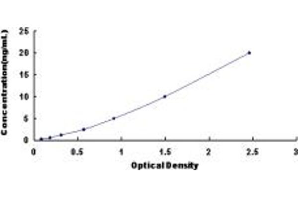 SATB1 ELISA Kit