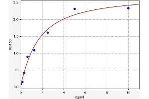 IRF8 ELISA Kit