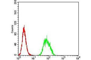 Flow cytometric analysis of Hela cells using B3GAT1 mouse mAb (green) and negative control (red). (CD57 Antikörper  (AA 193-334))