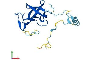 Protein Structure (PS) image for Endogenous Retrovirus Group K, Member 9 (ERVK-9) (AA 1-156) protein (His tag) (ABIN7545122)
