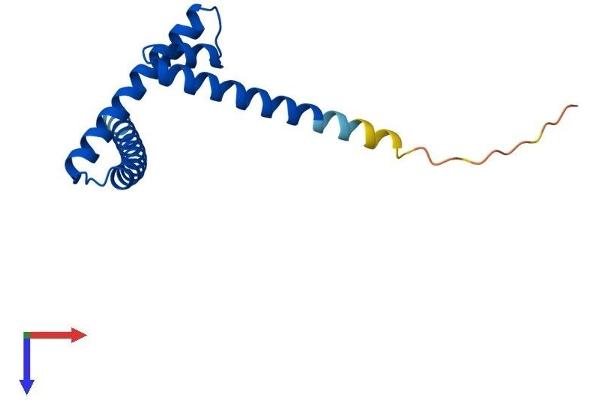APITD1 Protein (AA 1-138) (His tag)