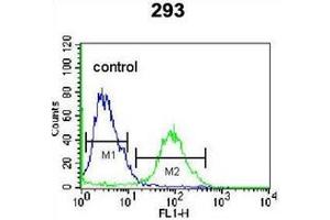 Flow cytometric analysis of 293 cells using OR4F15 Antibody (N-term) Cat. (OR4F15 Antikörper  (N-Term))
