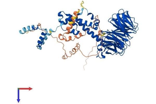 BTRC Protein (AA 1-605) (His tag)