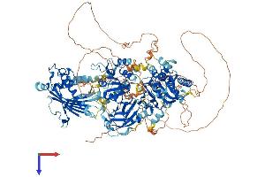 PITPNM1 Protein (AA 1-1243) (His tag)