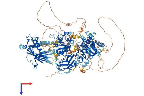 PITPNM1 Protein (AA 1-1243) (His tag)