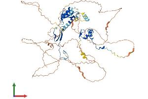 Protein Structure (PS) image for DBF4 Homolog (DBF4) (AA 1-674) protein (His tag) (ABIN7553621)