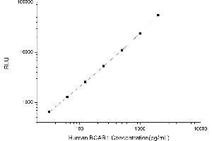 Typical standard curve (BCAR1 CLIA Kit)