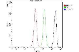 Flow Cytometry analysis of JK cells using anti-GIGYF2 antibody (ABIN7601679).